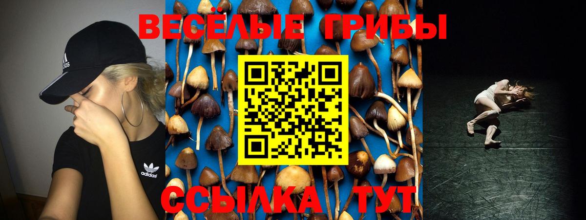 Галлюциногенные грибы GOLDEN TEACHER Кострома